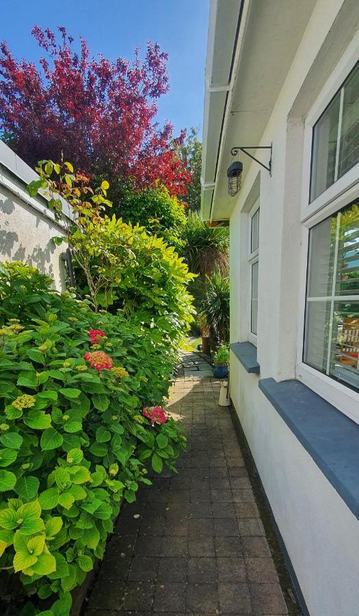124 ,Castlelawn Heights, Headford Road Galway Homestay Ngoại thất bức ảnh